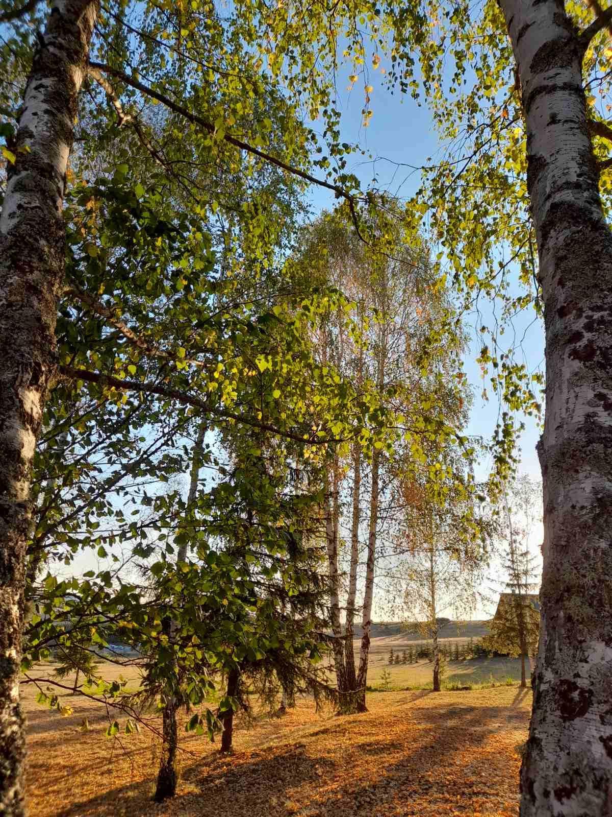 Квартира, 64583 м², 452 987$ — FAKTOR